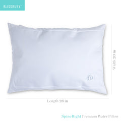 BLISSBURY Premium Water Pillow